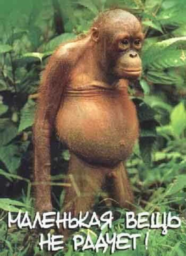 Ничего такого не подумайте, а то знаю я вас. Попалась картинка при…